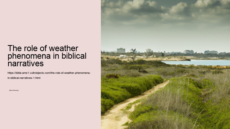 The role of weather phenomena in biblical narratives